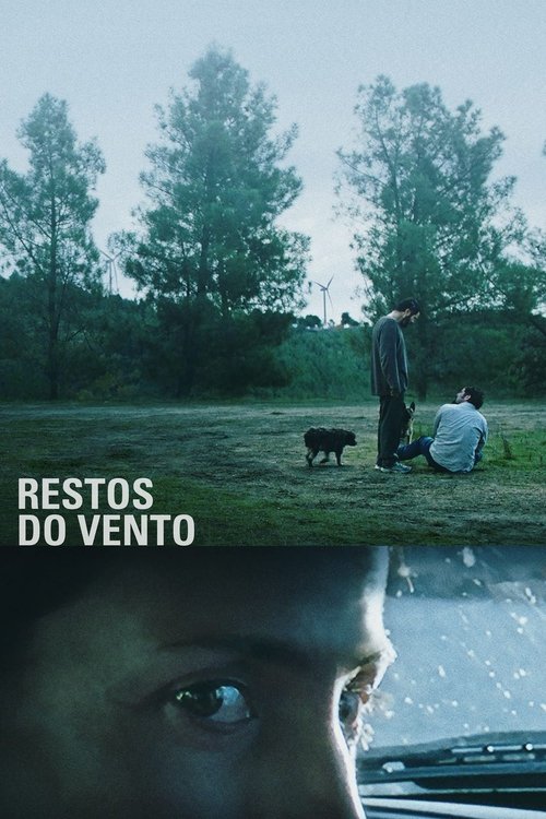 Restos do vento