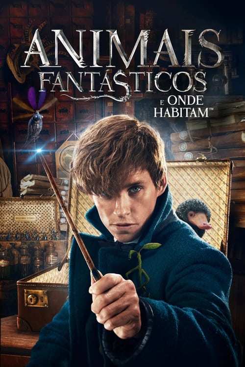 Poster do filme Fantastic Beasts and Where to Find Them