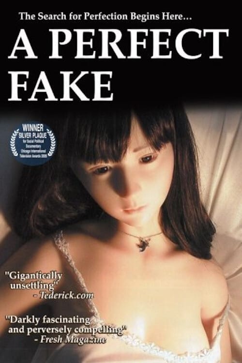 A Perfect Fake movie poster player