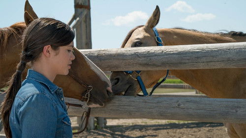Heartland: 9×8