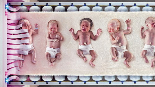 One Born Every Minute Backdrop Blur