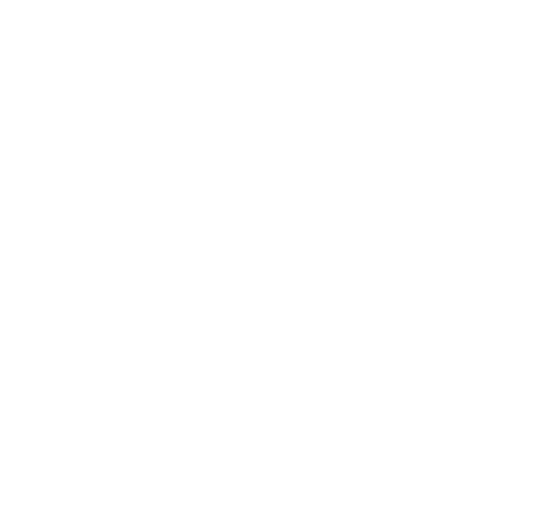 Kung Fu League