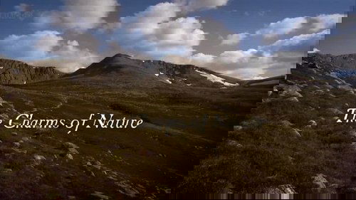 Image de l'épisode 4