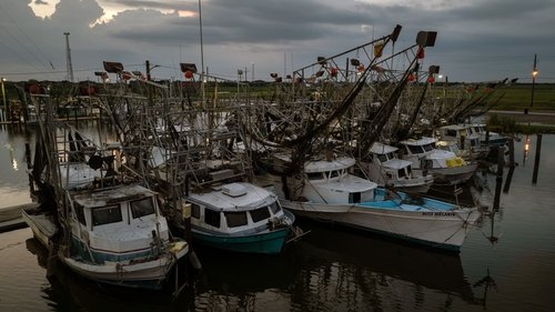 Last of the Shrimpers image 1