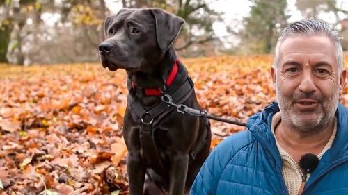 Image de l'épisode 9