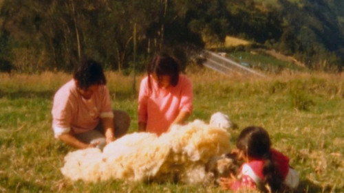 When They Left, All that Remained was a Small Noise in the Mountain Backdrop Blur