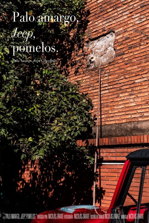 Poster Palo amargo, Jeep, pomelos. 2020