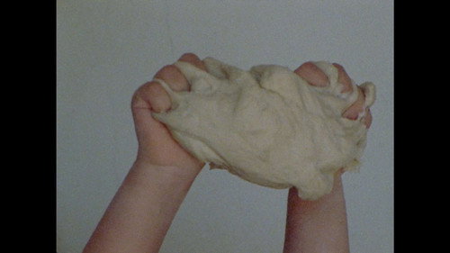 Domesticar Há Milénios