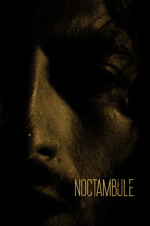 Noctambule poster