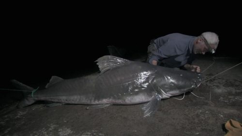 Poster della serie River Monsters