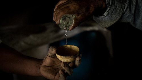 Agave: The Spirit of a Nation