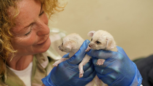 Image de l'épisode 2