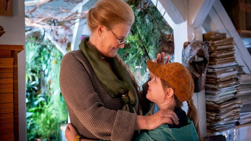 Willi und die Wunderkröte