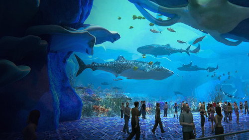 L'acquario più grande del mondo - Season 1 Backdrop Blur