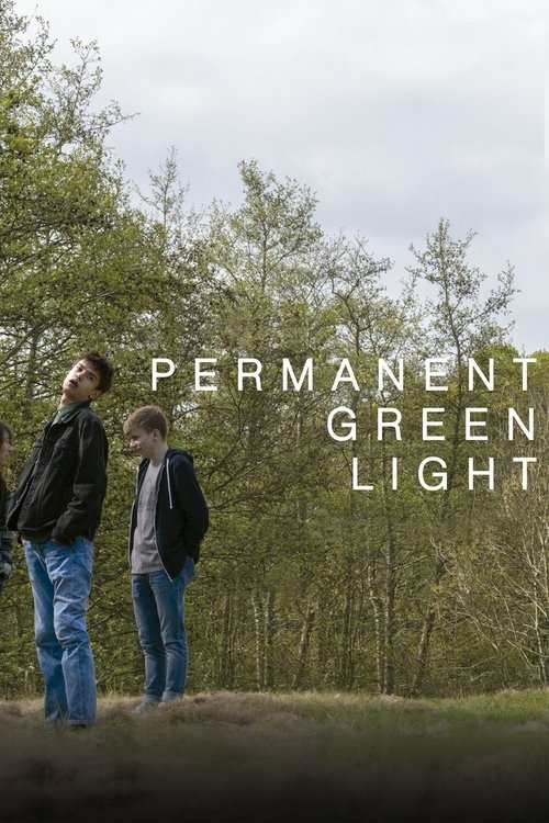 Permanent Green Light movie poster player