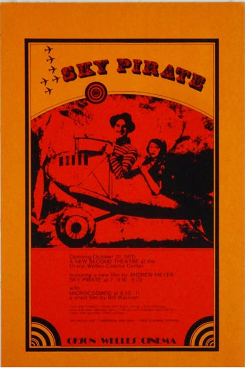 The Sky Pirate (1969)