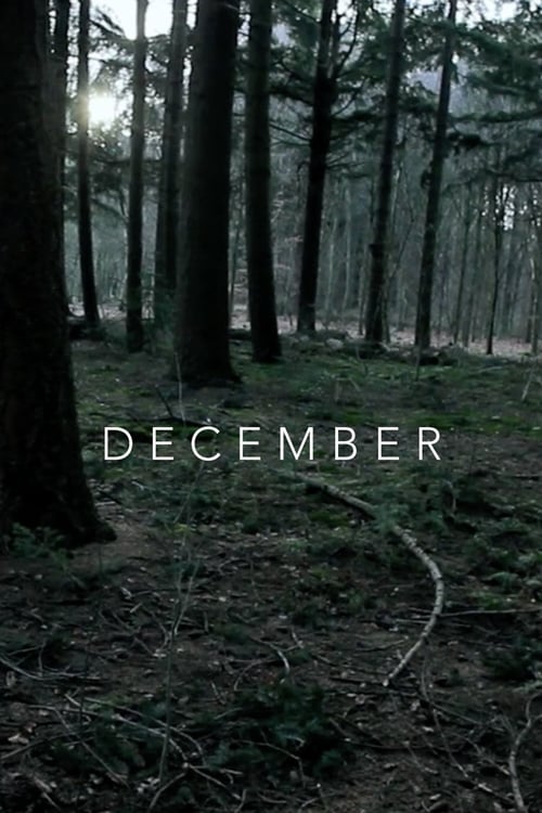 December poster