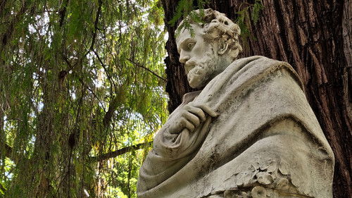 backdrop Por Nosotras