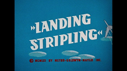 Landing Stripling