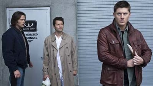 Supernatural: 7×23