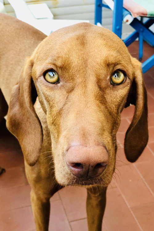 Lua - صورة 2
