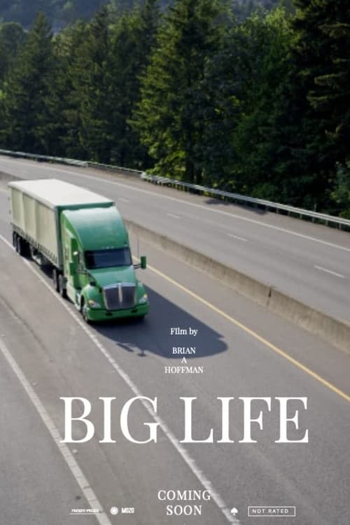 Poster do filme Big Life