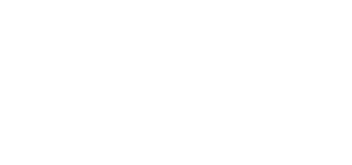 Policías y ladrones