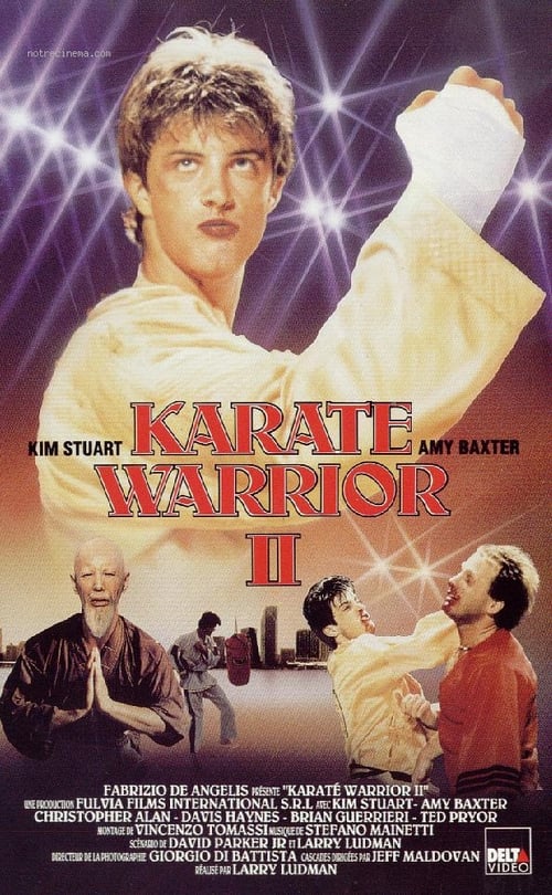 Karate Warrior 2 Movie Poster Image
