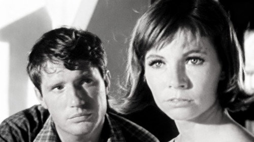 Episode #2.21 (pp-135)