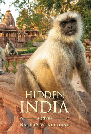 Escena 4 de Hidden India