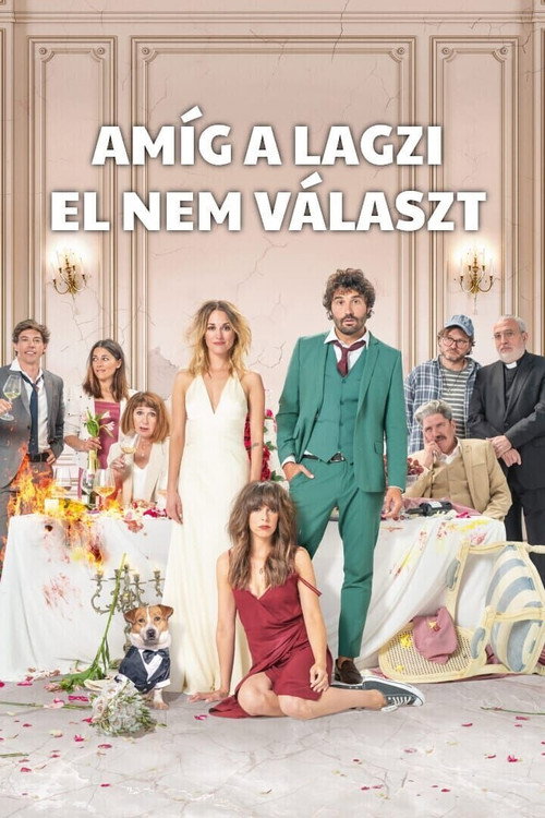 The Wedding Unplanner poster