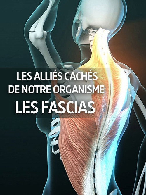 Image du film