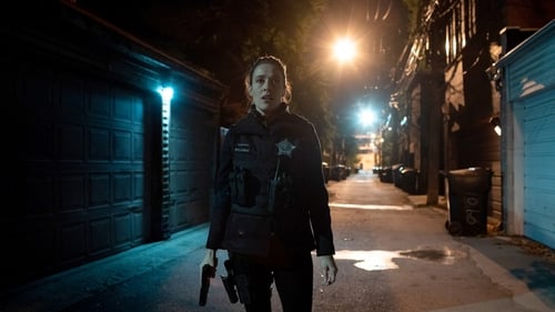 Chicago P.D. Distrito 21: 6×9
