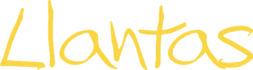 O Rei dos Pneus - Logo 5