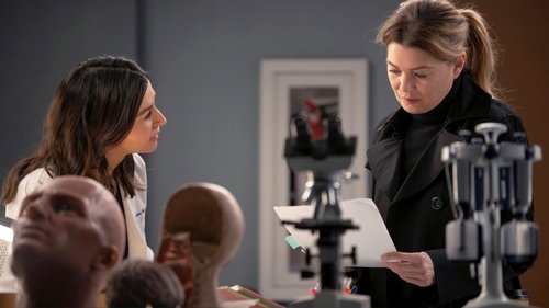 Grey’s Anatomy: 20×2