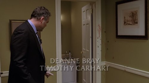 Poster della serie Law & Order: Criminal Intent