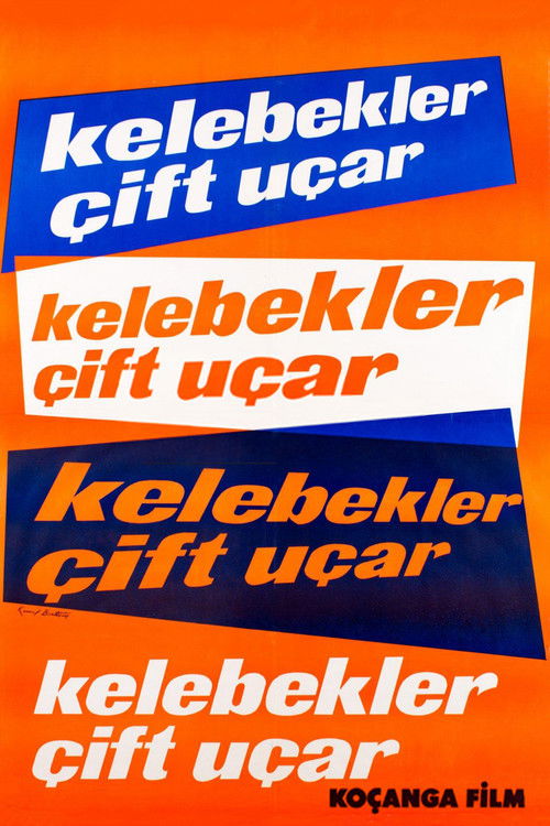 Kelebekler Çift Uçar poster