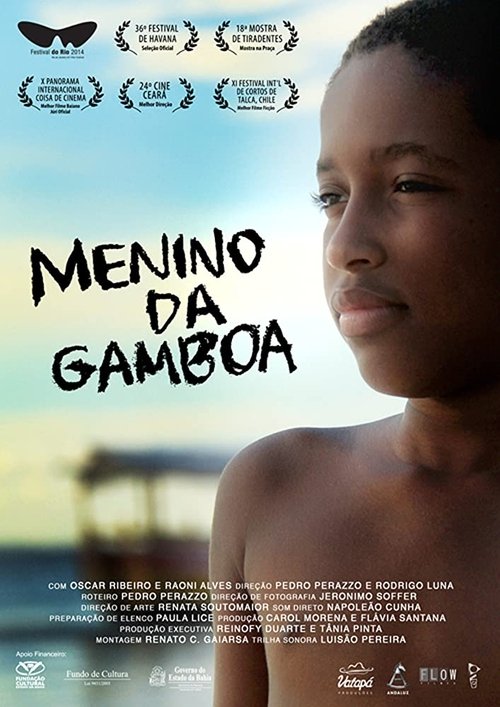 Menino da Gamboa movie poster player
