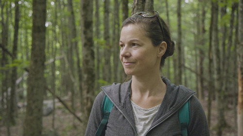 Climat déréglé, santé en danger