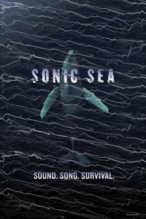 Grootschalige poster van Sonic Sea