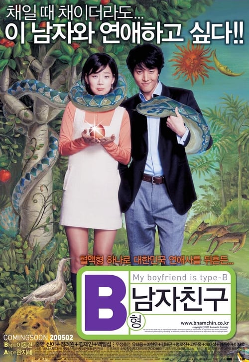 B형 남자친구 (2005) poster