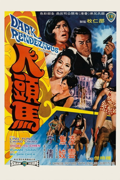 Dark Rendezvous poster