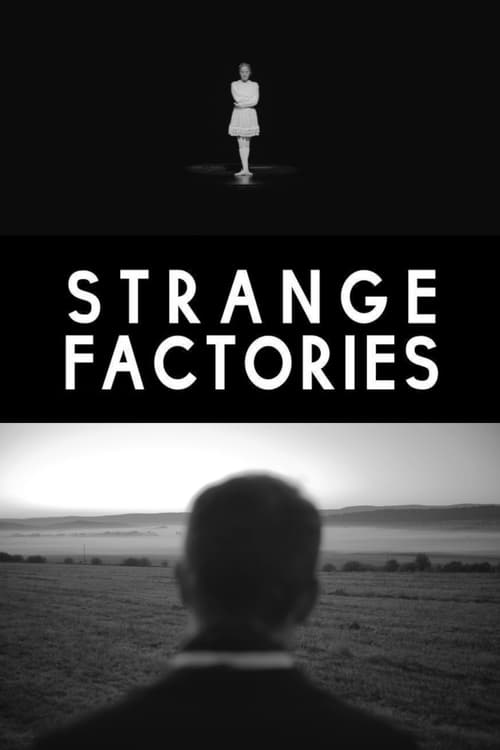 Poster Strange Factories 2013