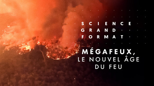 Image Mégafeux, le nouvel âge du feu