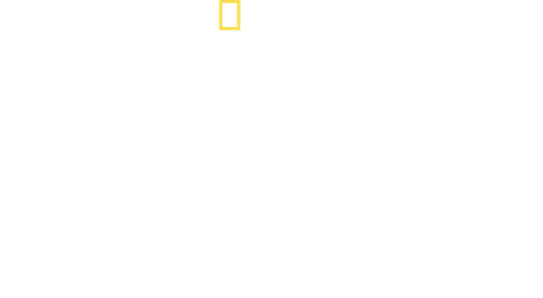 Drogas S/A - Logo 3