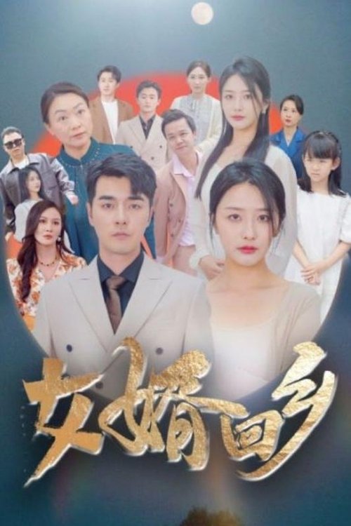 女婿回乡