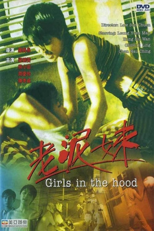 老泥妹 (1995) poster