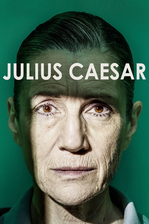 Julius Caesar 2017