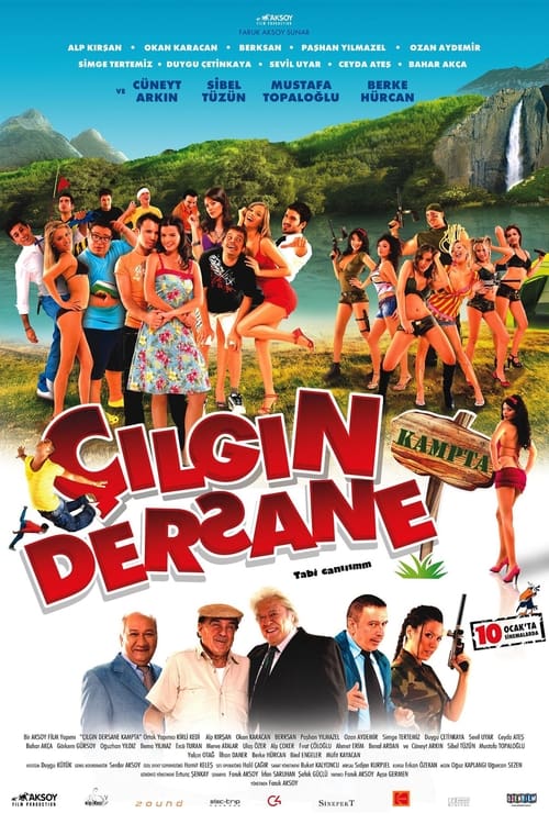 Çılgın Dersane Kampta (2008) poster