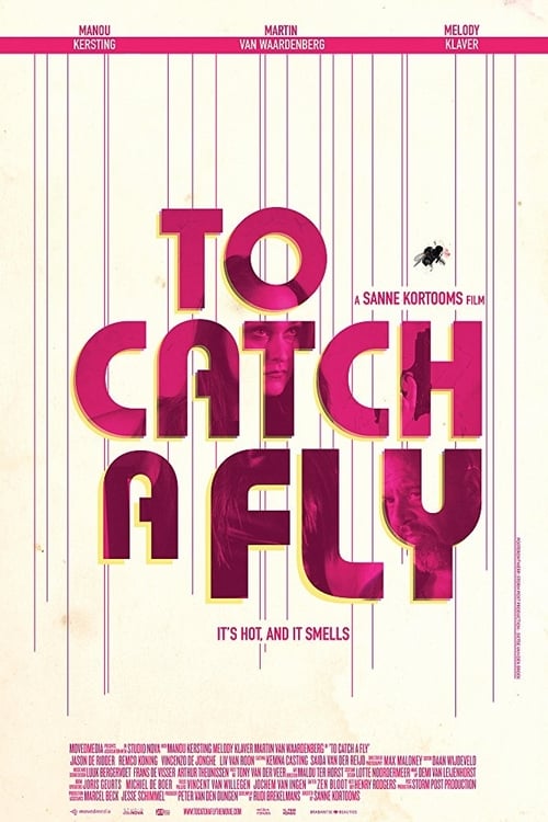 To Catch a Fly 2017